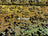 Yellow Iridescent on Black Velvet Iridescent 2 Way Stretch Embroider Sequins Fabric On Velvet By The Yard