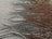 White Silver Rose Gold On White Mesh Iridescent Fabric/ Embroidery 4 Way Stretch Sequin Fabric