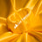 Yellow Shiny Bridal Satin Fabric