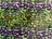 Green Leopard Short pile Faux Fur Fabric By The Yard