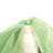 Sage Crystal Sheer Organza Fabric By The Yard