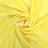Spa Yellow Mia Chiffon Fabric / 60’’ Wide Soft chiffon Sheer Fabric