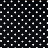White Dot on Black