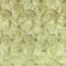 Banana Rosebud Minky Fabric by the Yard