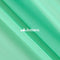 Mint Mia Soft Poly Chiffon Sheer Fabric