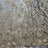Taupe/Champagne
