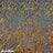 Iridescent Orange