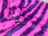 Purple/Fuschia