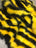 Black/Yellow