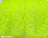 Neon Green