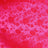 Neon Pink