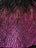 Fuchsia On Black Mesh