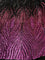 Fuchsia On Black Mesh Iridescent Fabric/ Embroidery 4 Way Stretch Sequin Fabric