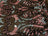 Dusty Rose and Mint Iridescent on Black Mesh