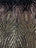 Gold Dusty Rose Black On Black Mesh Iridescent Fabric/ Embroidery 4 Way Stretch Sequin Fabric