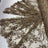 Taupe/Brown