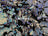 Lavender Blue Iridescent on black velvet