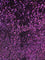 Iridescent Purple Mermaid Sequin on Purple Stretch Velvet Spandex Fabric