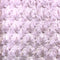 Light Pink Minky Rose Rosebud Fabric Blanket Fabric