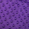 Luxury Purple Bubble Minky Polka Dot Fabric