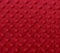 Luxury Red Bubble Minky Polka Dot Fabric