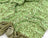 Sage Green on Green Velvet