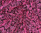 Neon Pink on Black Stretch Velvet Sequin Upholstery Fabric All Over Full Sequin