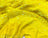 Iridescent Yellow on Yellow Velvet