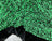 Green on Black Velvet