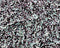 Iridescent White Blue on Black  Stretch Velvet Sequin Upholstery Fabric All Over Full Sequin