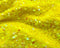 Iridescent Yellow on Yellow Stretch Velvet Sequin Upholstery Fabric All Over Full Sequin