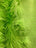 Neon Green Mongolian Long Pile Fake Faux Fur Fabric Sold By The Yard