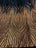 Neon Orange Black On Black Mesh Iridescent Fabric/ Embroidery 4 Way Stretch Sequin Fabric