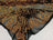 Orange On A Black Mesh Elegant Stretch Sequin Fabric_ Lace Fabric