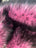 Pink Husky Faux Fur Fabric - Shaggy Fur Luxury Fabric