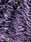 Purple, White, and Black Faux Fur Fabric By The Yard 3 Tone Fashion Fabric Material