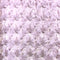 Light Pink Rich Rose Rosette Floral Minky Fabric | Super Soft Fabric