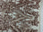 Rose Gold Nude Mesh Elegant Stretch Sequin Fabric_ Lace Fabric